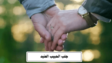 جلب الحبيب العنيد