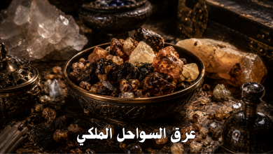 عرق السواحل الملكي