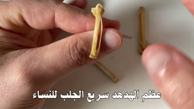 عظم الهدهد سريع الجلب للنساء