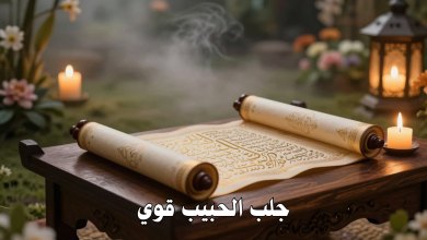 جلب الحبيب قوي